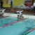 ITEC Swimming 2014